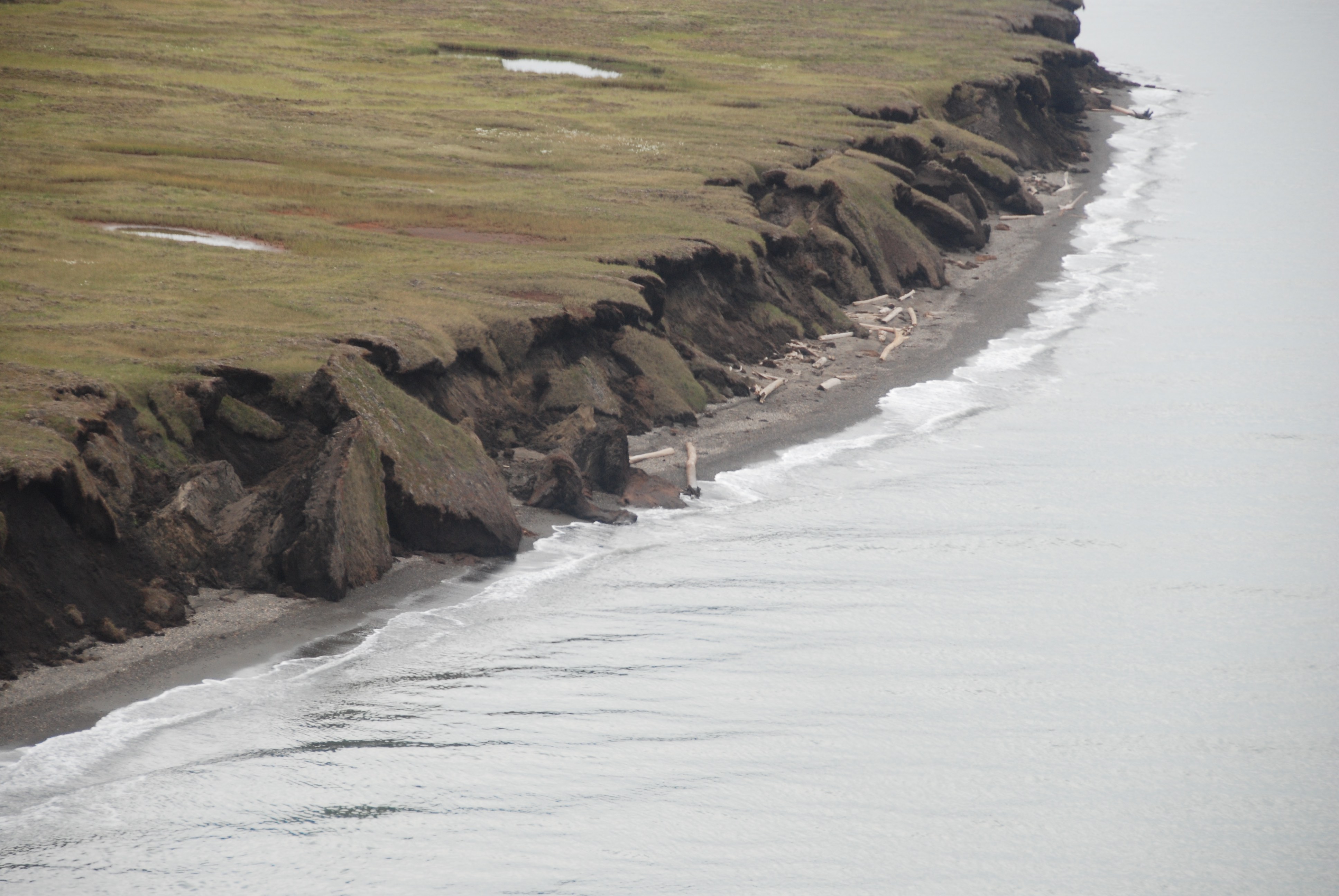 Drivers, dynamics and impacts of changing Arctic coasts
